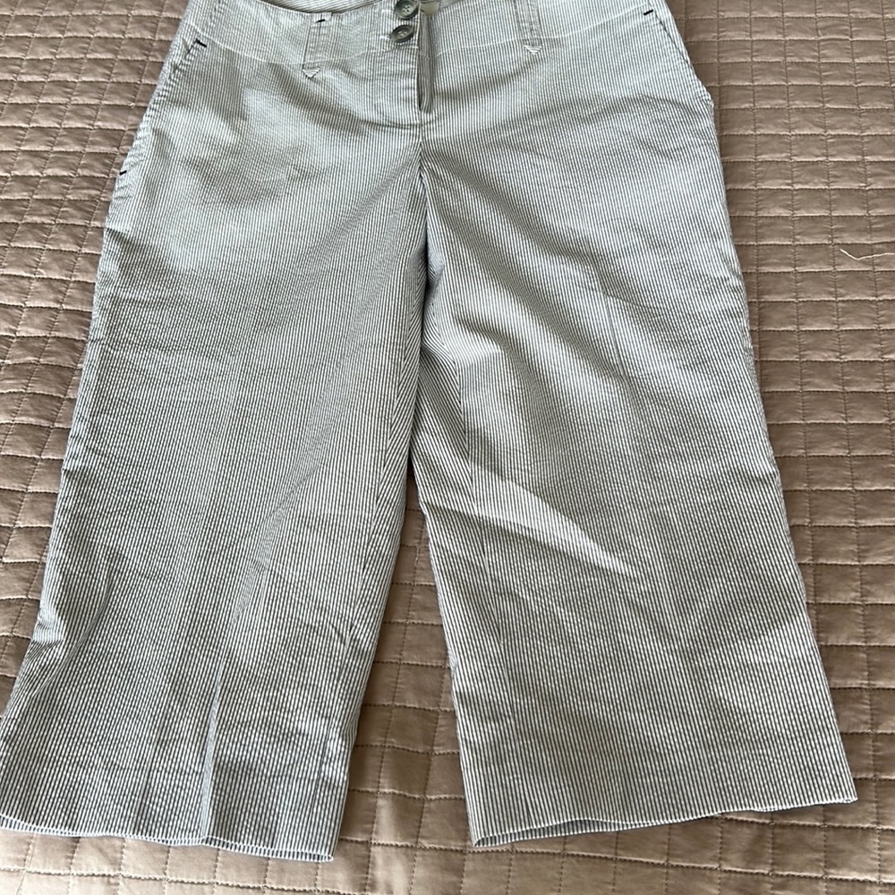 Women Ann Taylor loft Marisa shorts